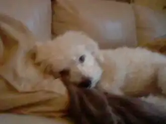 A photo taken with the 3DS camera.