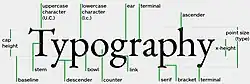 names of parts of a glyph - a character in a font