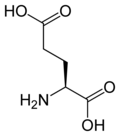 L-glutamic acid Glu, E