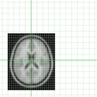 model in world space