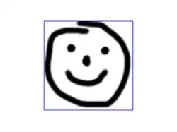 Input image