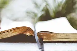 Open Social Scholarship Annotated Bibliography (also published as An Annotated Bibliography of Social Knowledge Creation) (2017)