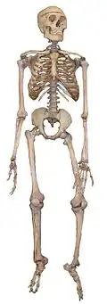 Welcome to Orthopaedic Surgery!