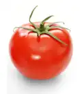 ਟ - ਟਮਾਟਰ Tomato