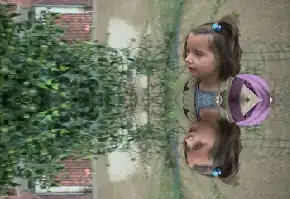 Vertical mirror example