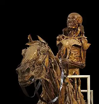 Image 3 Honoré Fragonard Photo: Jebulon An écorché (flayed figure) of a horseman and his horse, prepared by anatomist Honoré Fragonard and on display at the Musée Fragonard d'Alfort in Paris. Fragonard was the first professor of anatomy at the École nationale vétérinaire d'Alfort (National Veterinary School of Alfort) and prepared thousands of anatomical pieces. In 1771, after six years of teaching, he was dismissed from his post for being a "madman". More selected pictures