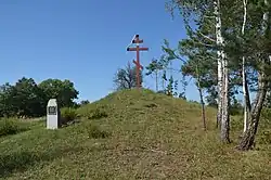 Kurgan in Nemyrivka