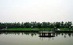 Park in Sihong County