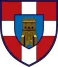 Former, and second new version of the shoulder sleeve insignia of the 100th Mechanized Brigade.