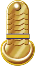 Uhlan epaulet (1872), 4th Kharkov Uhlan Regiment