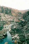 Devastated bushland on the Bundara River near Anglers Rest resulting from the 2003 Eastern Victorian alpine bushfires
