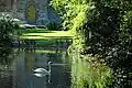 Reflecting pool