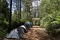 Little Red Toolangi Treehouse protest in Toolangi State Forest