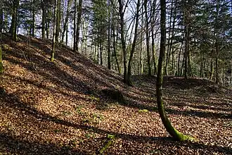 Slag heap.