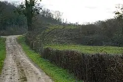 The slag heap.
