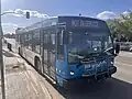 Nova Bus LFS painted in Saskatoon Transit's blue paint scheme, with bike rack, received in 2016 from Nova Bus.