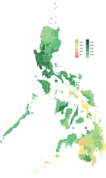 Kiko Pangilinan