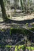 Location of the winch.
