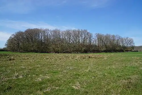 View of the spoil heap along its length.