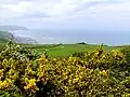 Hummersea Cliff