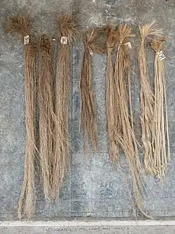 8. There they are sorted by colour grades, with lighter coloured fibres being more expensive due to their rarity.[29]