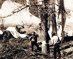 Balloon found near Nixon, Nevada, on March 29, 1945