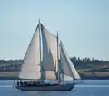 Schooner Suva