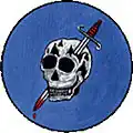 363rd Fighter Squadron, United States.