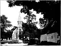 U. plotii, Thimbleby, Lincolnshire (c.1903)