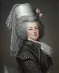 Marie Antoinette in a hunting dress (1788)