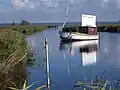 On the Saaler Bodden near Dierhagen