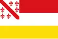 Flag of Amerongen
