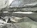 The rocks between the point and St Heliers Bay. White siltstone layer.