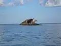SS Atlantus