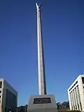 View from below