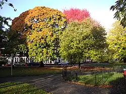 Victoria Park