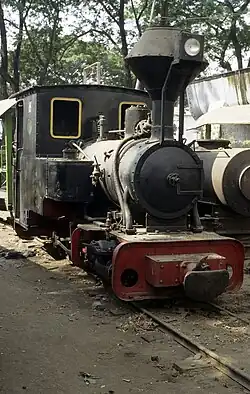 Kedawung 16