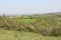 Balinović - panorama