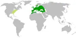 Map showing distribution of Ballota nigra