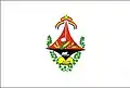 Flag of Aguiar, Paraíba