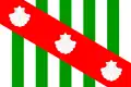Flag of Canavieiras