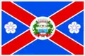 Flag of Florânia