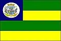 Flag of Guarani de Goiás