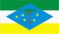 Flag of Laranjeiras do Sul