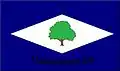 Flag of Massaranduba