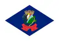 Flag of Ilhota, SC