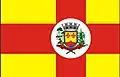 Flag of São Francisco de Assis