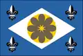 Flag of Ibirataia