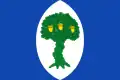 Flag of Encinacorba