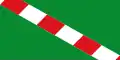 Flag of Portillo de Toledo